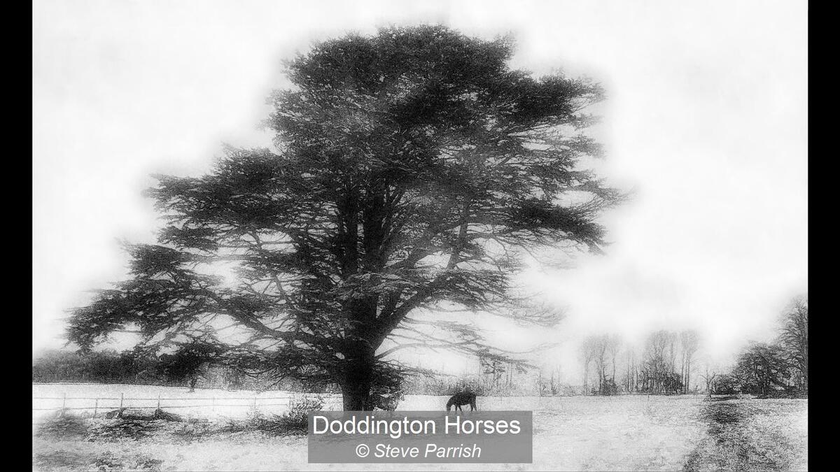 Doddington Horses